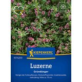 KIEPENKERL Lucerna - 1 pkt. Cene