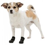 Trixie zaštitne čizmice za pse walker active xs-s | Eponuda.com