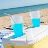  Prenosna hladilna skrinja Lilty InnovaGoods 15 L | Shoptok.si