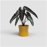 Artevasi Keramičen cvetlični lonec ø 14 cm Diana – | Shoptok.si