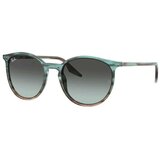 Ray-ban rb2204-1394gk 51 Cene