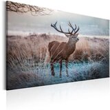  Slika - Wild Animal 120x80 Cijene