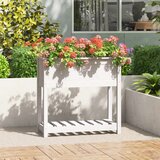 vidaXL Sadilica s policom bijela 82 5x34 5x81 cm od masivne borovine Cijene