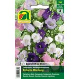 AUSTROSAAT zvončice "Enostavna mešanica" | Shoptok.si