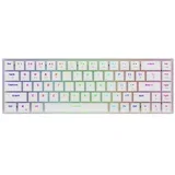 Agena White Tastatura ( 103-0045 )