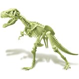  Svjetleći kostur Tiranosaurusa | shoptok.hr