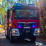 Thule Vitlo Dragon Truck DWT 30000 HD, 24V, 13.605 kg sa čeličnom sajlom, napinjačem sajle, žičnim i bežičnim daljinskim, bez vodilice sajle Slike