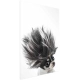  Plakat - Chihuahua 60x90 Bez okvira | shoptok.hr