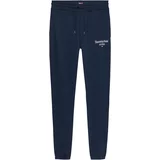 Tommy Jeans Plus Hlače mornarsko plava / bijela