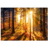  Samoljepljiva foto tapeta - Autumn Awakening 441x315 | shoptok.hr