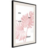  Poster - Pale Pink Monstera 40x60 | shoptok.hr