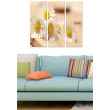 Wallity Set slika MDF2313971, 3 dijela | Eponuda.ba
