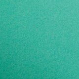Clairefontaine kartoni Maya dark green A3/270gr 1/25 | shoptok.hr