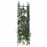 Furnova Mreža za paradižnik 6 kosov 116 cm jeklo PP, (21921974) | Shoptok.si
