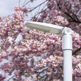 Emos lighting LED ulična lampa SOLIS LED/50W/230V 4000K IP65 | Eponuda.com
