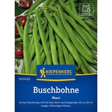 KIEPENKERL Navadni fižol "Maxi" - 1 pkt. Cene