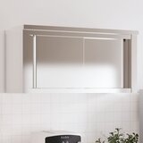 Maison Chic Kuhinjska stenska omarica - Kuhinjska omarica z drsnimi vrati nerjaveče jeklo iu556, (22063821) | Shoptok.si