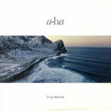 Aha - True North (Limited Edition) (2 LP + CD + USB Card)