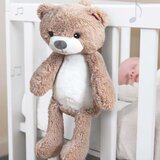 Zazu plišasta glasbena nočna lučka sleeptrainer brody the bear taupe | Shoptok.si