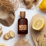 Dsquared2 Muška toaletna voda Wood Pour Homme EDT 100ml