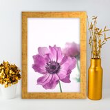 Wallity Uokvirena slika AC1680333024, 24x29 cm Cijene