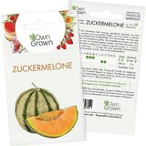 Own Grown Seme "Melona" Cene
