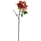 Light & Living Umetna rastlina (višina 65 cm) Peonia – | Shoptok.si