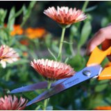 Fiskars univerzalne vrtne škare 21cm S90 (111040) | shoptok.hr