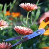 Fiskars univerzalne vrtne škarje classic 21cm (1001539) | Shoptok.si