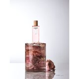 Loewe Agua de Ella toaletna voda 100 ml za žene | shoptok.hr