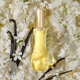 Giorgio Beverly Hills giorgio toaletna voda 90 ml za žene | shoptok.hr