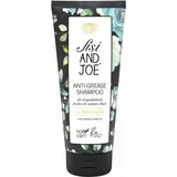 anti-grease shampoo