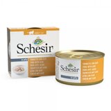 Schesir cat tunjevina sa alojom u želeu 85gr Cene