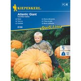 KIEPENKERL Sjeme povrća bundeva Atlantic Giant (Cucurbita maxima, Vrijeme sjetve: Travanj) Cijene