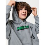 Sinsay Hoodie s tiskom Minecraft Slike