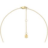 Fossil Verižica zlata / transparentna / bela | Shoptok.si