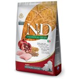 N&d suva hrana za štence ancestral grain medium/maxi piletina, spelta, ovas i nar 2.5kg | ePonuda.com