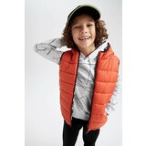 Defacto Boys Double-Sided Hooded Inflatable Vest Cene