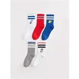 LC Waikiki Patterned Boy Socks Set of 5