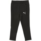 Puma evostripe pants crna Cijene