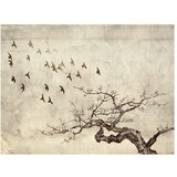  Tapeta - Flock of birds 350x270 | shoptok.hr