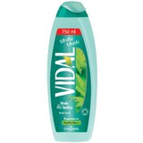 Vidal Pena za Kupanje Mošus 750ml Cene