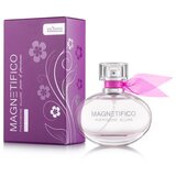 Magnetifico Pheromone Allure pro Women 50ml Cijene