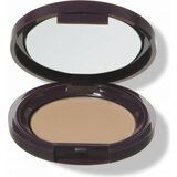 100% Pure Fruit Pigmented Long Last Concealer with Super Fruits - Golden Peach (tan) Cene