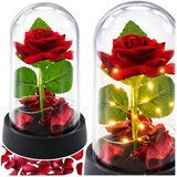Eternal Rose in Dome with LED Lighting Red with Rose Petals 14x8cm | Shoptok.si