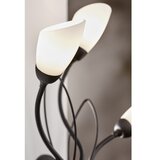 Jupiter 2059 - zidna lampa gloriosa 3xG9/14W/230V crna | Eponuda.com