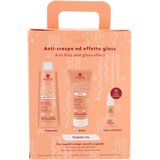 Alama professional Anti Frizz Gift Box poklon set anti-frizzy | shoptok.hr