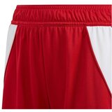Adidas Hlače 3/4, 7/8 Tiro 24 Jr Rdeča | Shoptok.si