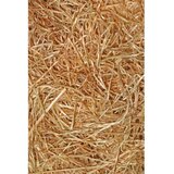 Conceptum Hypnose tepih (140x220) Hmnt561 | ePonuda.com