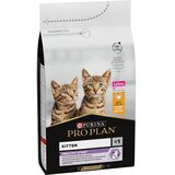 Pro Plan kitten Original piščanec Cene